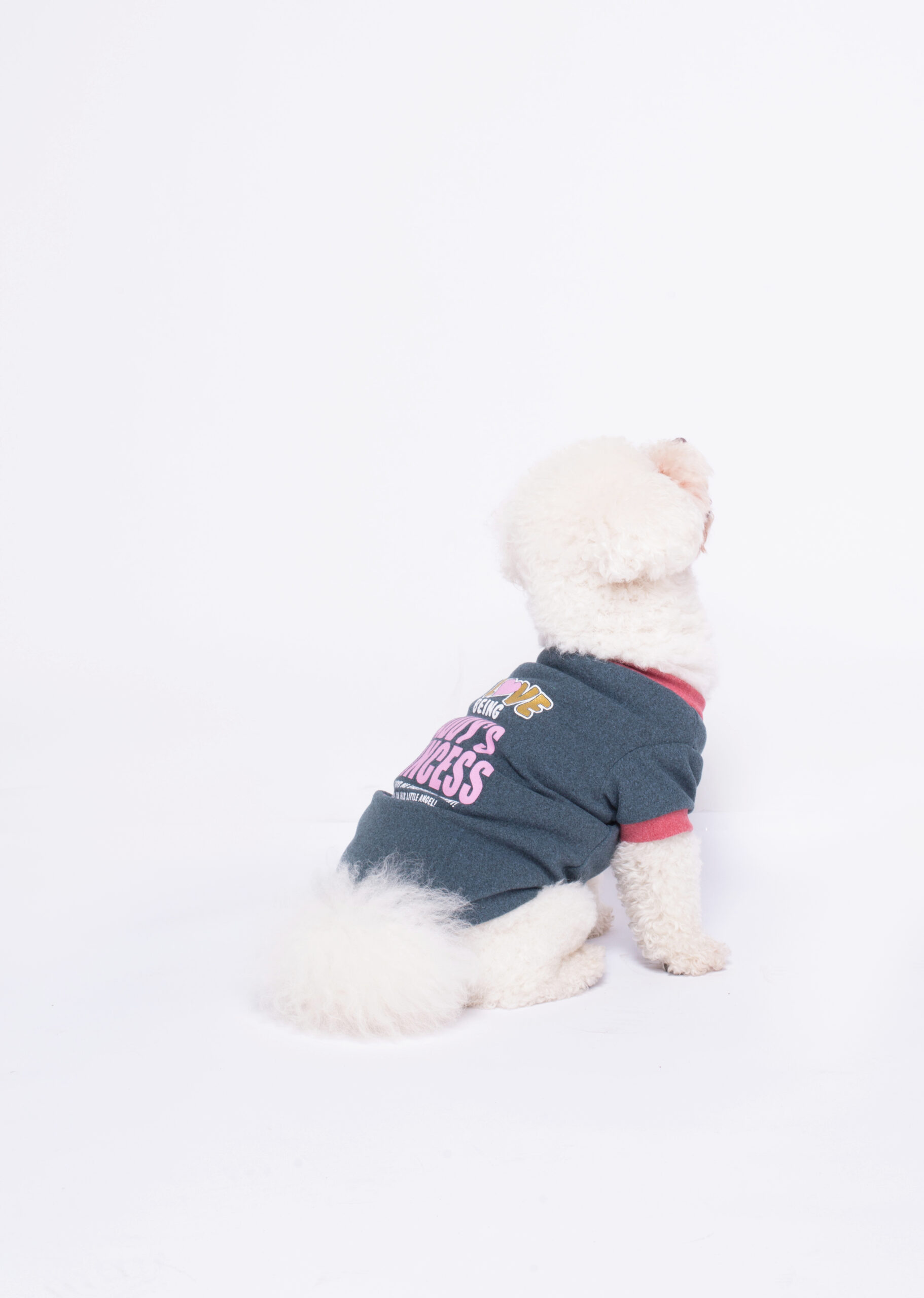 秋季高弹柔软狗衣服 （涤纶）JZTM030 JZTM031 JZTM032 JZTM033