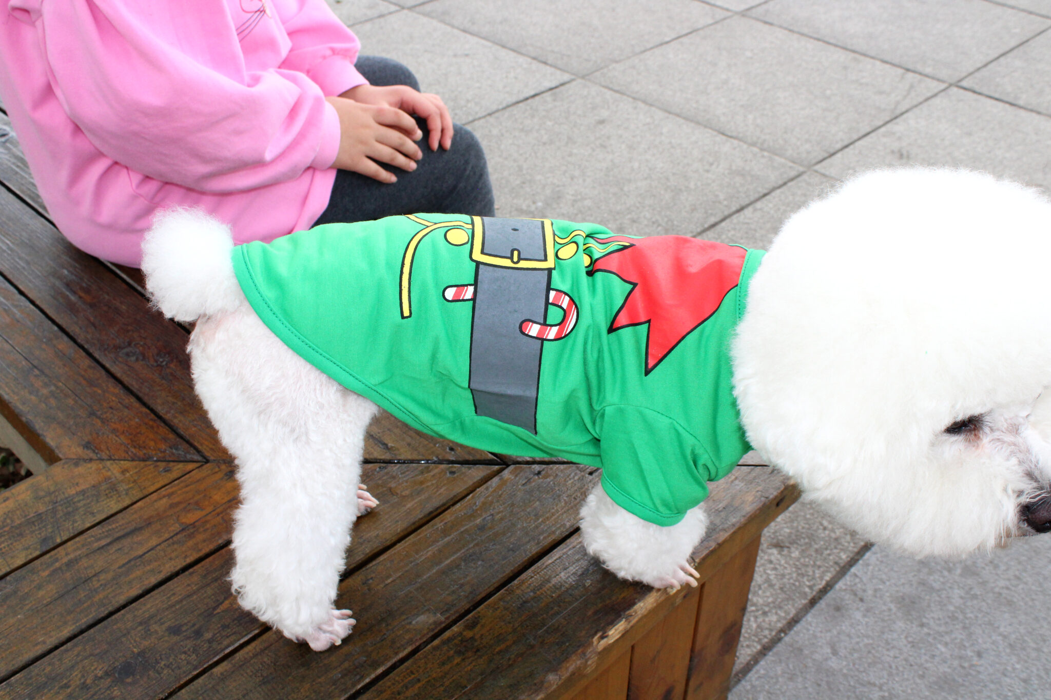Christmas Series Dog Clothes (polyester) JZTP021 JZTP025 JZTP026