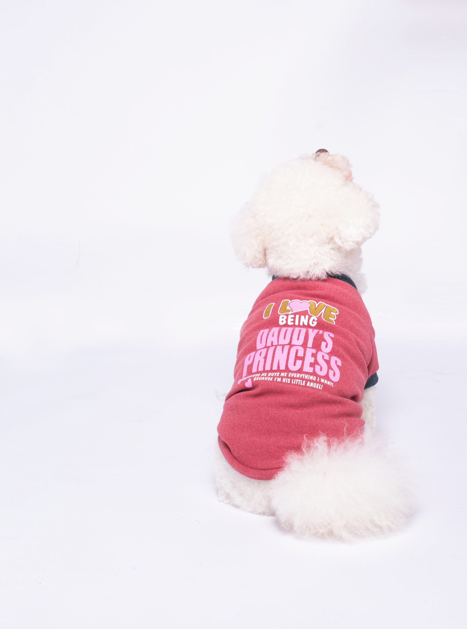 Autumn high-elasticity soft dog clothes (polyester) JZTM030 JZTM031 JZTM032 JZTM033