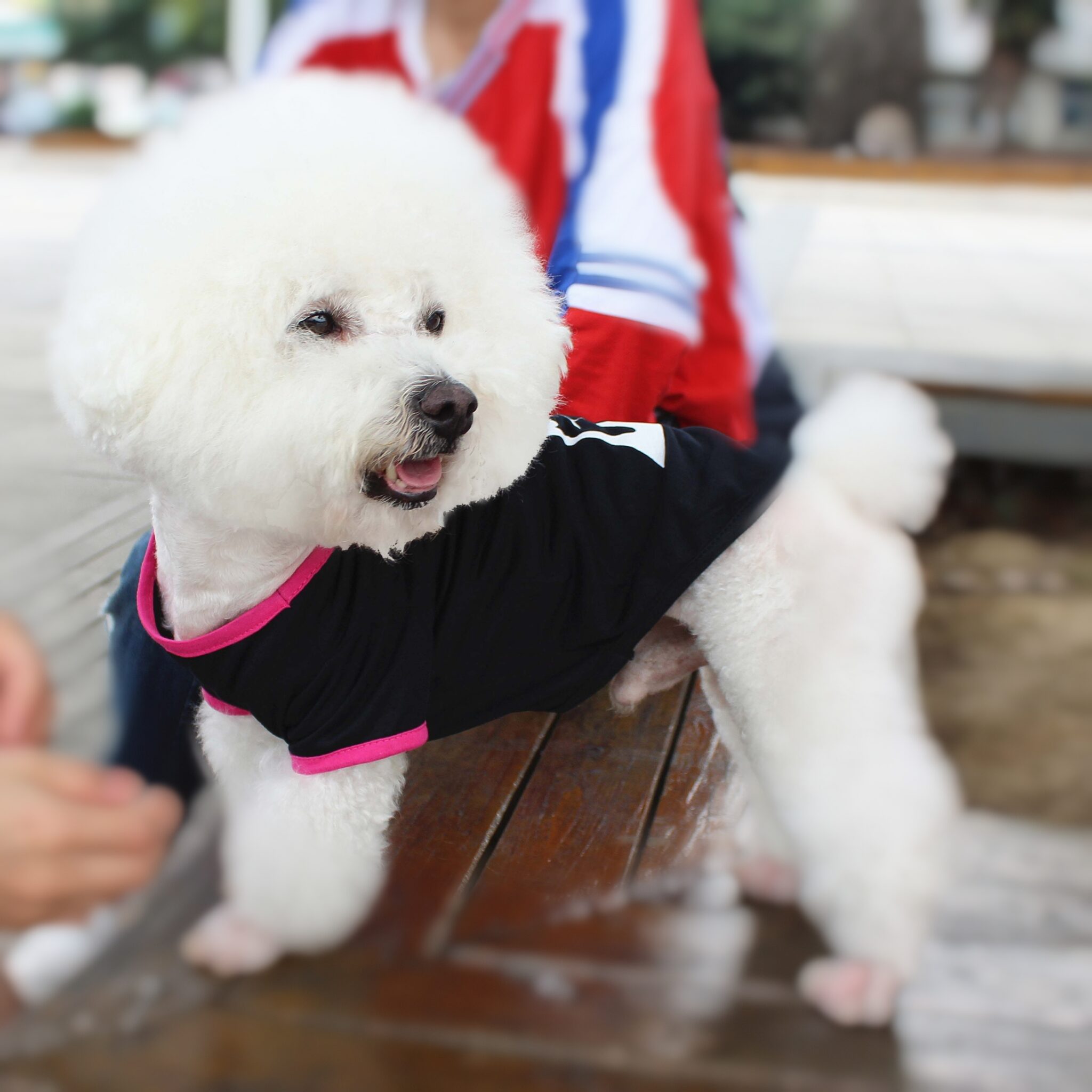 Halloween Series Dog T-shirt (Polyester)JZTP059 Black Background Ghost