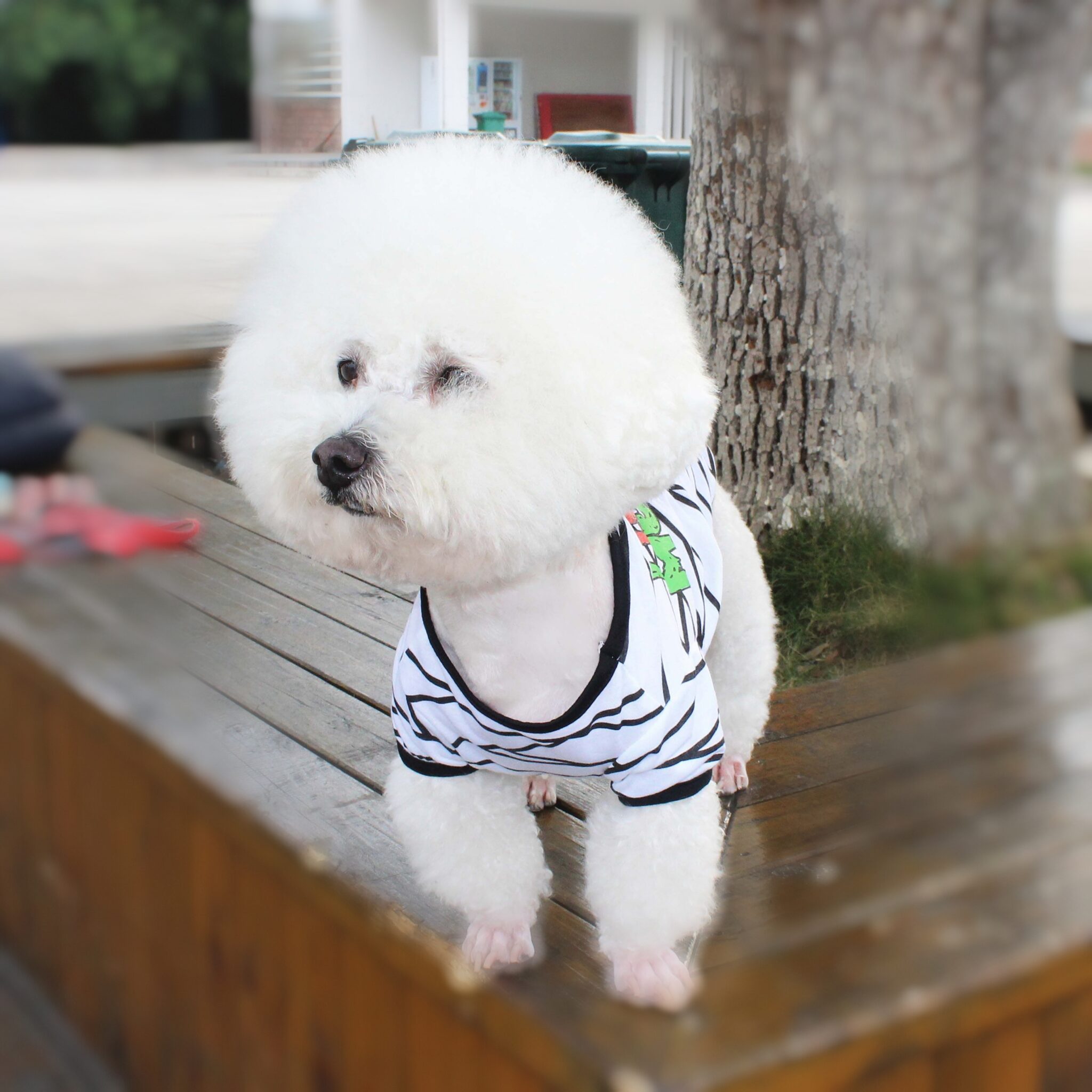 Halloween Series Dog T-shirt (Polyester)JZTP064 I love mummies